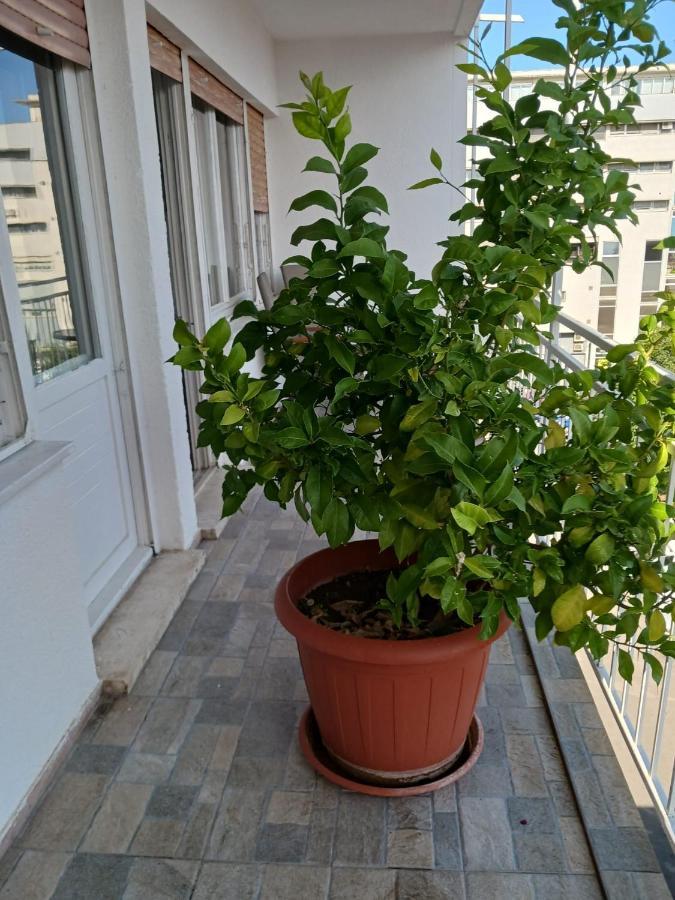 Room With Private Toilet And Terrace In City Center In Shared Apartment Split Ngoại thất bức ảnh